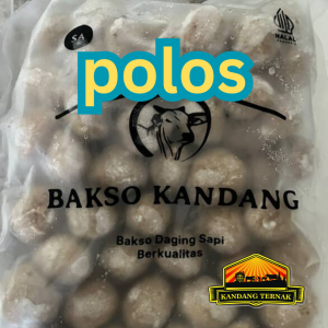 polos 🥣