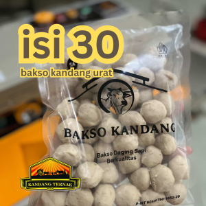 bakso kandang urat isi 30 pentol