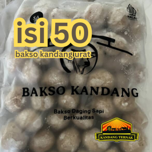 bakso kandang urat isi 50 pentol
