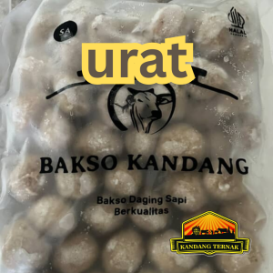 urat 💪