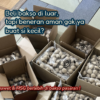 bakso aman untuk anak